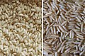 Profile Picture of Basmati - Wikipediaon Wikipedia