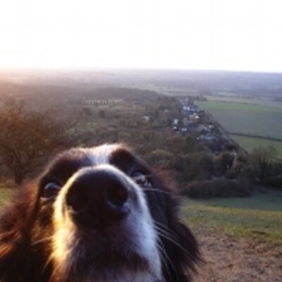 Caroline Davies - Twitter Profile Picture of Caroline Davies (@kandi_family) on Twitter