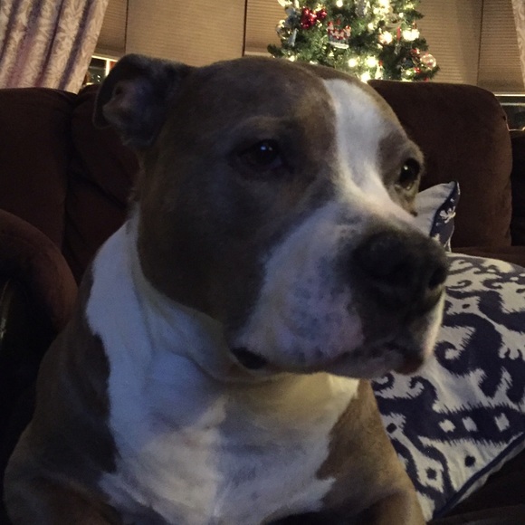 Lenny Fasone - Poshmark Profile Picture of Lenny Fasone (@lennfasq) on Poshmark