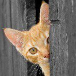 Profile Picture of Steven (@steve__wheeler) on Instagram