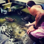 Arthur Reardon - Instagram Profile Picture of Arthur Reardon (@arascaninvent) on Instagram