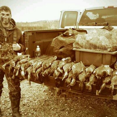 Profile Picture of Matt Purvis (@flightcanceled) on Twitter