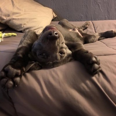 Profile Picture of Chris Thaler (@ChrisThaler2) on Twitter
