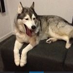 Profile Picture of Eugene Street (@eugene_street) on Instagram