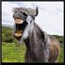 Profile Picture of Harold Eslinger (@harold.eslinger) on Facebook