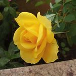 Profile Picture of Ana Rosa Minor Larratea (@anarosalarratea) on Instagram