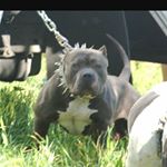Profile Picture of Leonard Collier (@leonard.collier.142) on Instagram