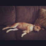 Profile Picture of Michael Paylor (@mpaylor18) on Instagram