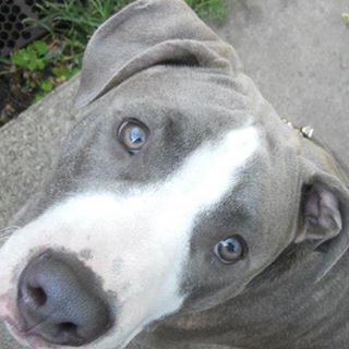 Profile Picture of Charlie Booge (@charlie.booge) on Facebook