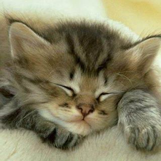 Profile Picture of Sonia Bonnet (@sonia.bonnet.716) on Facebook