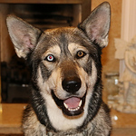 Profile Picture of Christopher Wright (@quickfixproduction) on Flickr