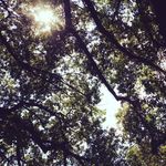 Debra Finigan - Instagram Profile Picture of Debra Finigan (@finiganflareresell) on Instagram