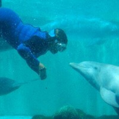 Profile Picture of Andy Prieto (@Paranoid_Tree) on Twitter