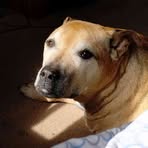 Profile Picture of Frankie Piotrowski (@Frankie-Piotrowski) on Facebook