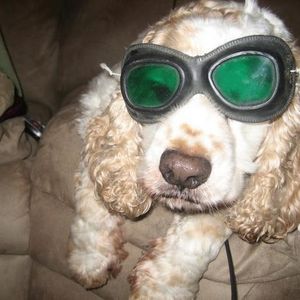 Profile Picture of Shiloh Willis (@shilohismadsexxy) on Myspace