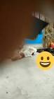 Profile Picture of   Surekha Patel... (@user361953892) on Tiktok