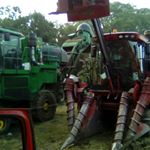 Profile Picture of Fidencio Perez (@perez_fidencio) on Instagram