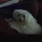 Profile Picture of Marcel Emond (@Marcel-Emond) on Facebook