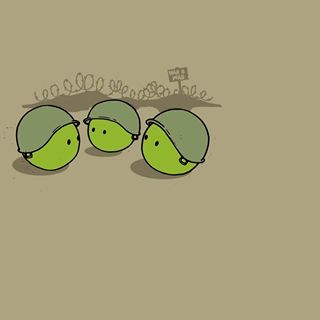 Profile Picture of Bao Zhao (@Bao-Zhao) on Facebook