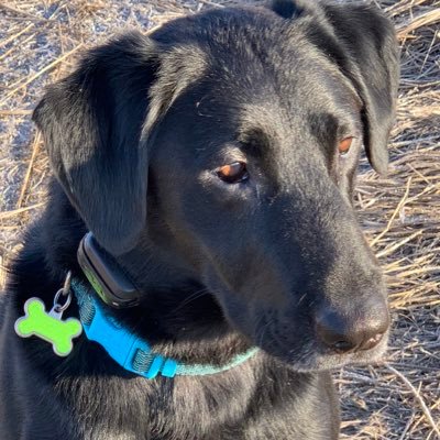 Michael B. Orcutt - Twitter Profile Picture of Michael B. Orcutt (@doctorvein) on Twitter