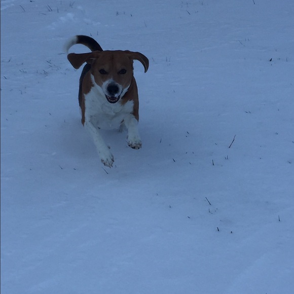 Profile Picture of Kim Roehl (@kroehl01) on Poshmark