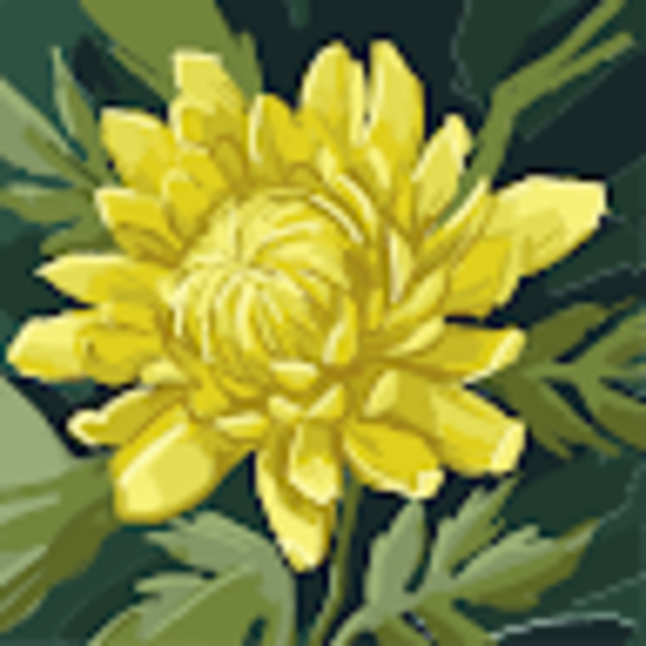 Profile Picture of Cassandra Davis (@cassnenobam7) on Poshmark