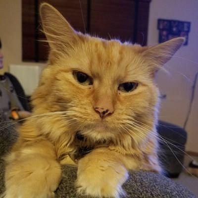 Profile Picture of Jaime Mccurry (@mccurry_jaime) on Twitter