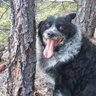 Profile Picture of David Yanzick (@david.yanzick) on Facebook