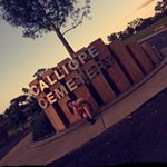 ✨Savannah Maxwell✨ - Instagram Profile Picture of ✨Savannah Maxwell✨ (@savvmaxwell_) on Instagram