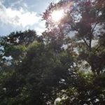 Profile Picture of Cindy Ogden Leach (@granleach99) on Instagram