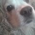 Profile Picture of Robin Baysinger (@robin.baysinger.3745) on Facebook