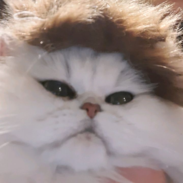 Profile Picture of hedvig (@dufinnermegistallen) on Tiktok