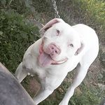 Profile Picture of Shawn McCullough Jr (@big_shawn_24) on Instagram