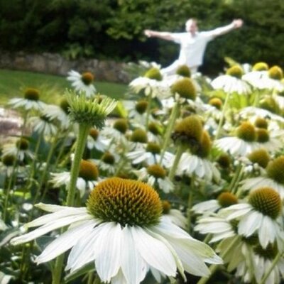 Profile Picture of John Boxall (@jb_kiwi_john) on Twitter