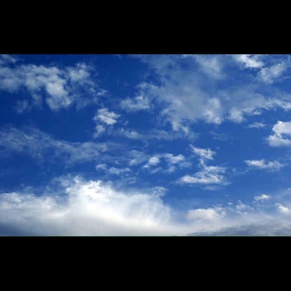 Profile Picture of Kate Griffor (@kmgriffor) on Poshmark