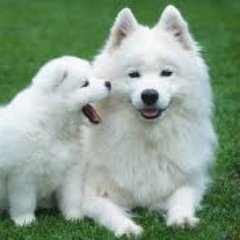 Profile Picture of James Hannett (@jameshannett345) on Twitter