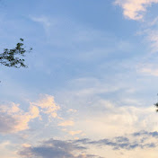 Profile Picture of Audrey Chou (@audreychou7010) on Youtube