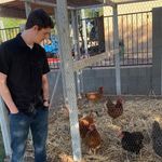 Profile Picture of Nick Haley (@nickhaley123) on Instagram