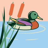 Profile Picture of Matthew Schellenberg (@matthew-schellenberg-8) on Quora