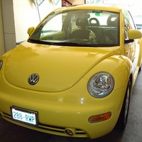 Profile Picture of Donna Pace (@donna-pace-10) on Quora