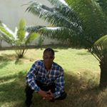 Profile Picture of Alexander Peal (@alexanderpeal) on Instagram