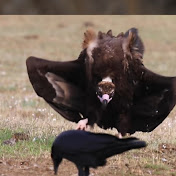 Profile Picture of David Evans (@davidevans3014) on Youtube