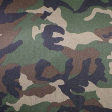 Profile Picture of Aaron Probst (@aaronprobst) on Tiktok