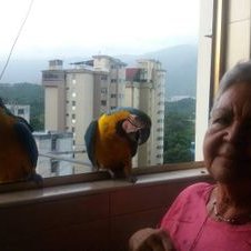 Profile Picture of Marlene Aleman (@MarleneAleman7) on Twitter