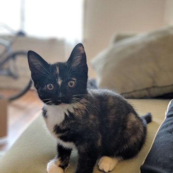 Profile Picture of Kynan Studdard (@kstudrd4) on Poshmark