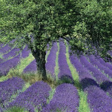 Profile Picture of Jill E Stacy, RN (@duranduranleoU) on Twitter