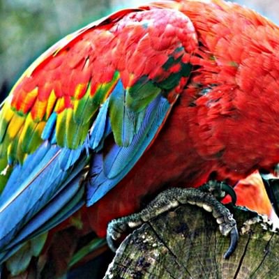 Profile Picture of Alexander Wessels (@alexeos1100d) on Twitter