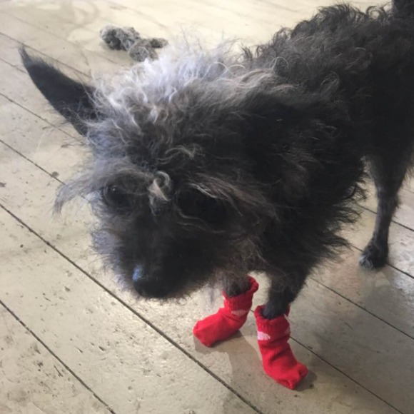 Profile Picture of Mary Bonney (@bonneymary) on Poshmark