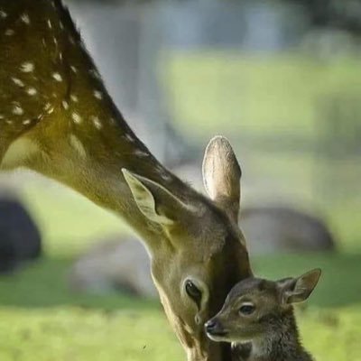 Profile Picture of DILLI RAM. SHARMA (@DILLIRAMSHARM20) on Twitter