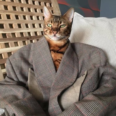 Profile Picture of Faye Wong (@LC_fayewong) on Twitter